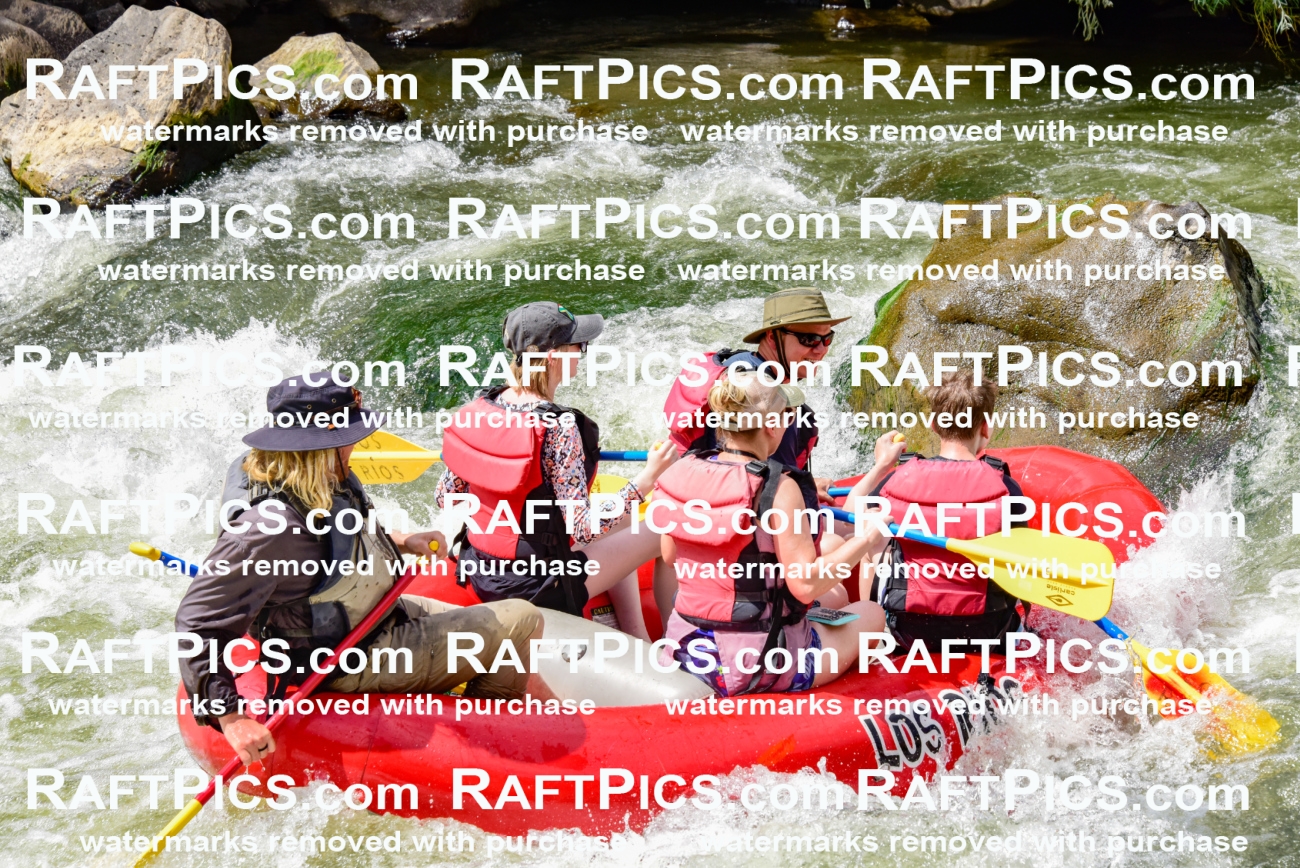 002281_July-11_Los-Rios_RAFT-PICS_Racecourse-PM_SW_Zack_LES8837