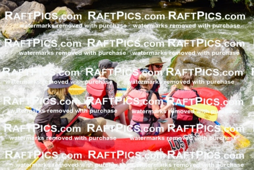 002281_July-11_Los-Rios_RAFT-PICS_Racecourse-PM_SW_Zack_LES8837