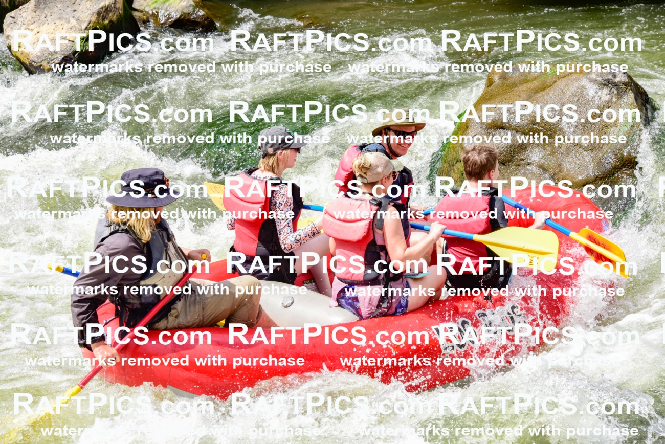 002282_July-11_Los-Rios_RAFT-PICS_Racecourse-PM_SW_Zack_LES8838