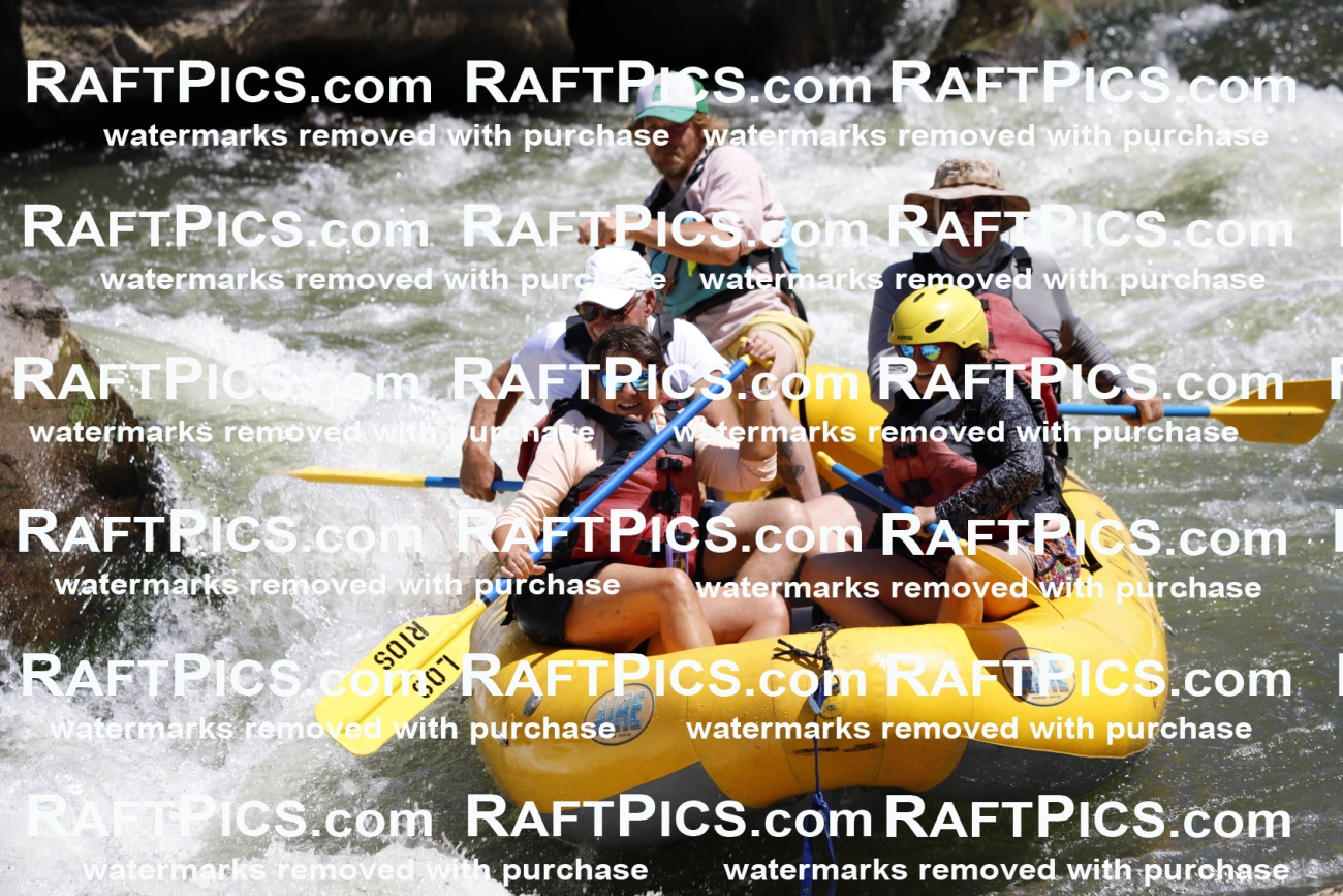 July_13_LosRios_Racecourse_AM_Abe_TC_016882