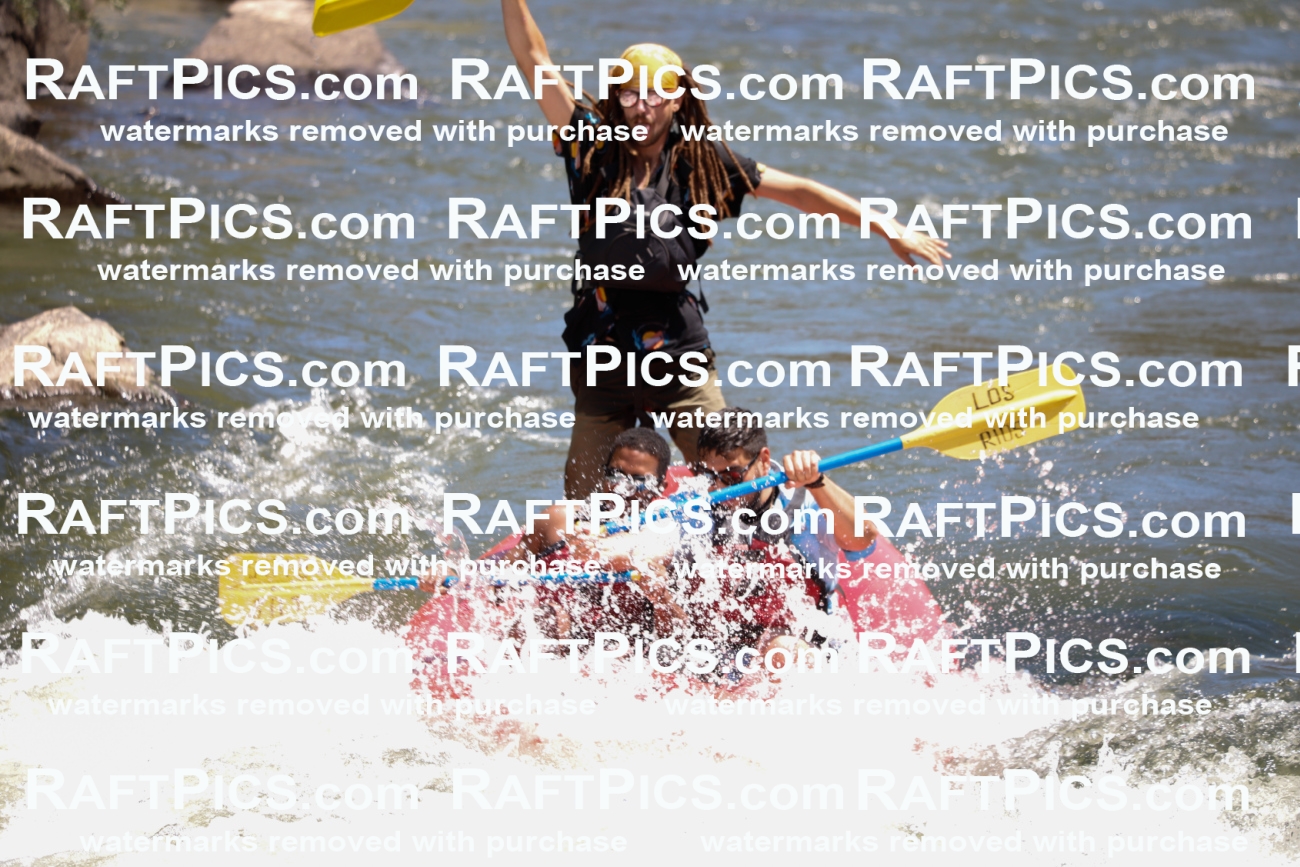 July_13_LosRios_Racecourse_AM_Brodie_TC_016926