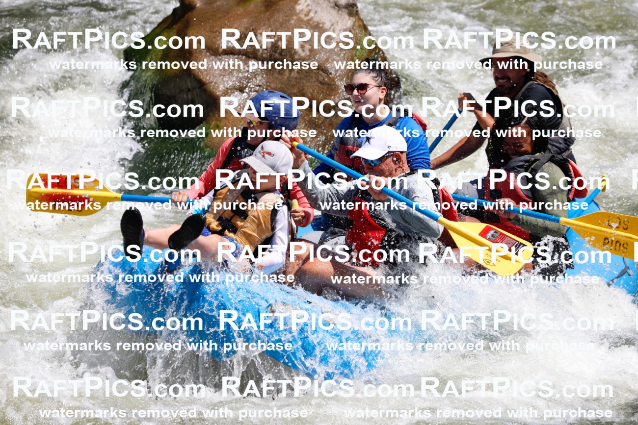 July_13_LosRios_Racecourse_AM_Shay_TC_017198