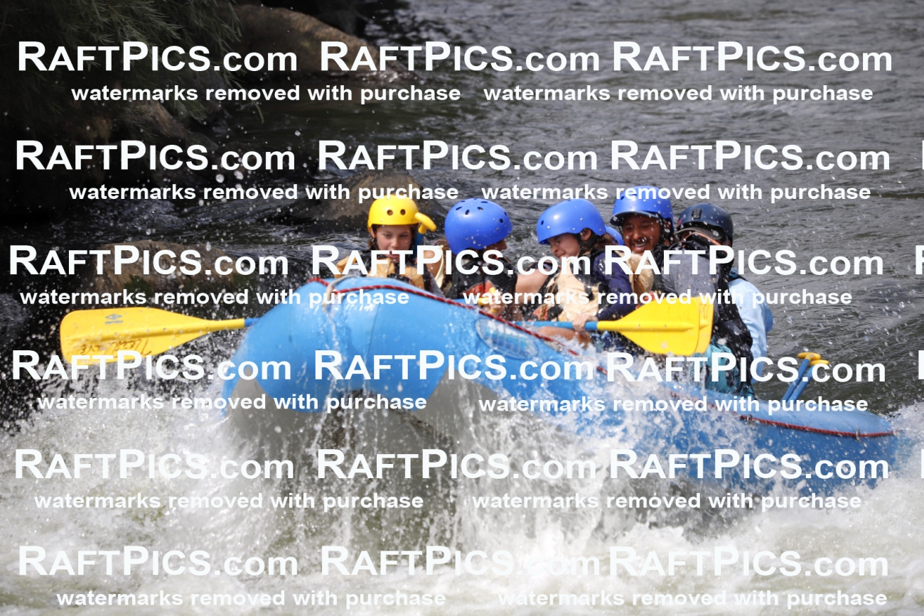 July_14_NewWave_Racecourse_PM_Rui_TC_018544