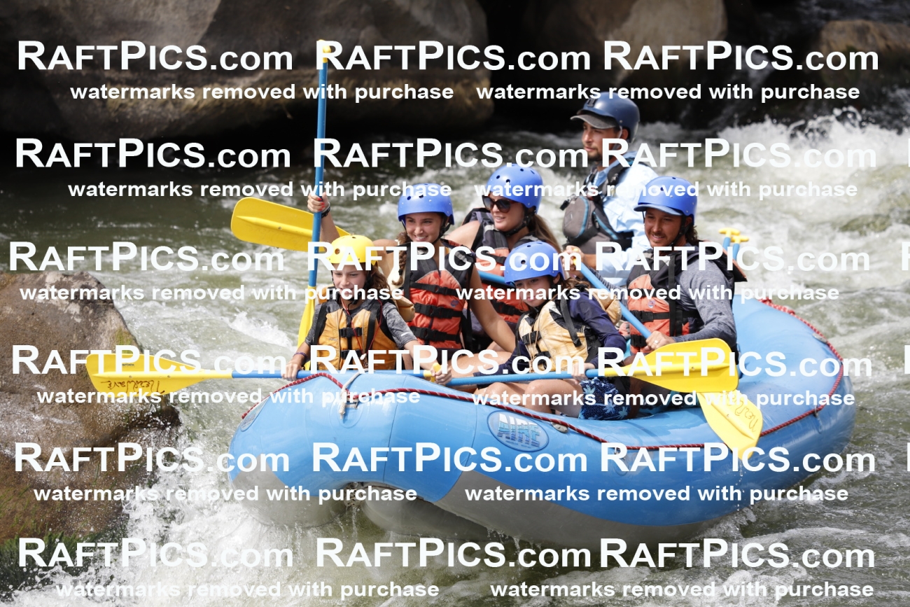 July_14_NewWave_Racecourse_PM_Rui_TC_018560