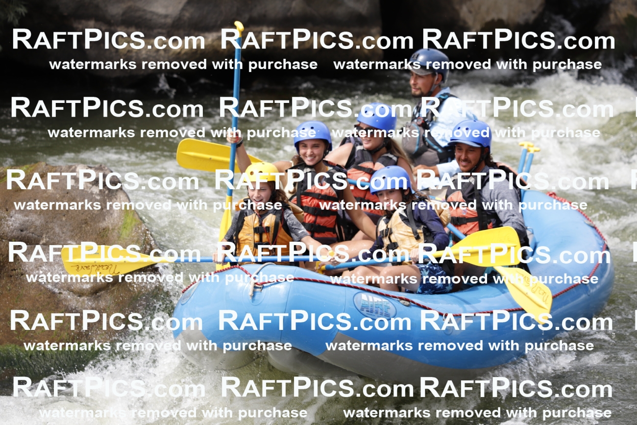 July_14_NewWave_Racecourse_PM_Rui_TC_018561