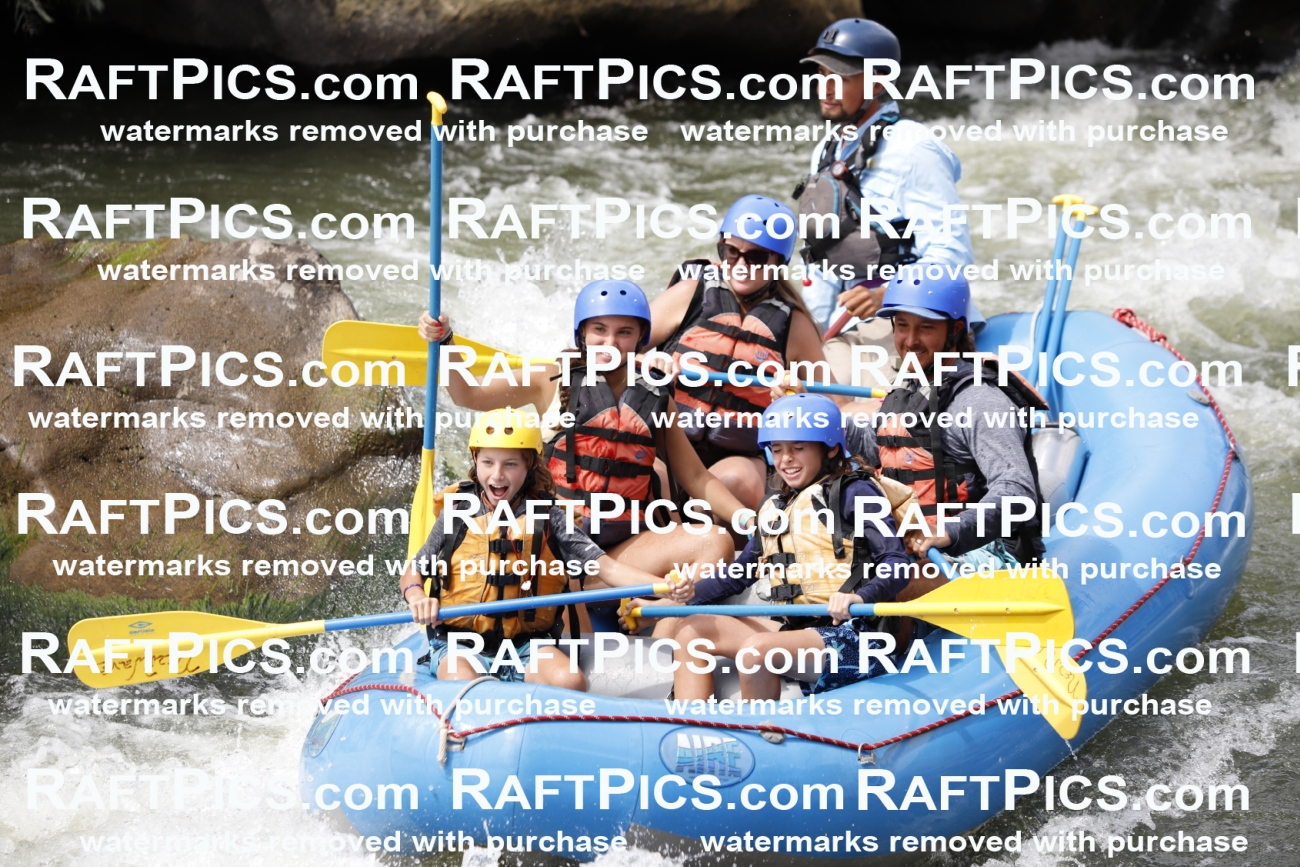 July_14_NewWave_Racecourse_PM_Rui_TC_018563