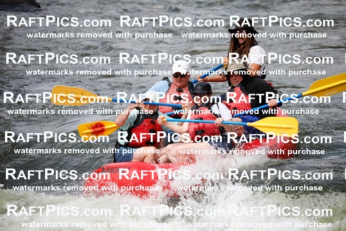 July_14_LosRios_Racecourse_PM_Brodie_TC_018137