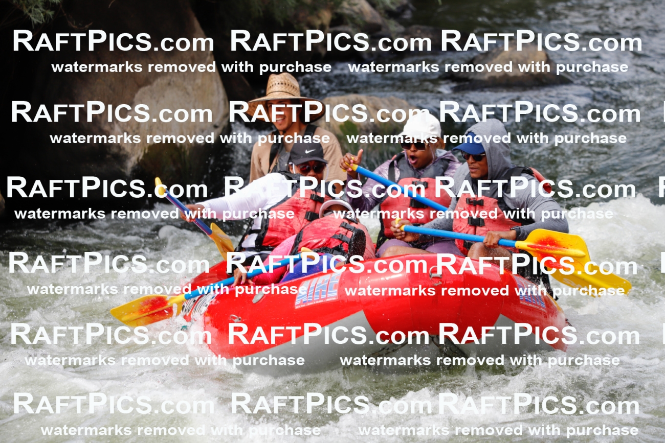 July_14_LosRios_Racecourse_PM_Michael_TC_018272