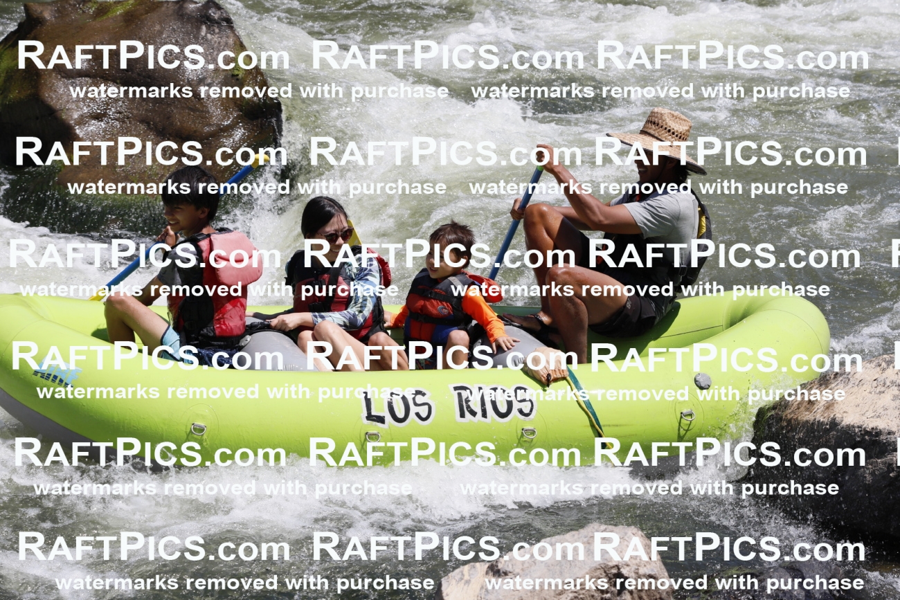 July_15_LosRios_Racecourse_AM_Michael_TC_018859