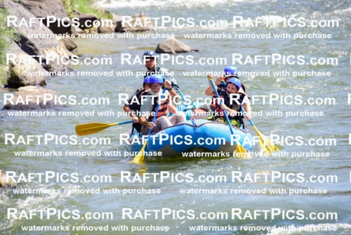 002408_July-16_NEW-WAVE_RAFT-PICS_Racecourse-AM-_LA_-RUI__LES9068