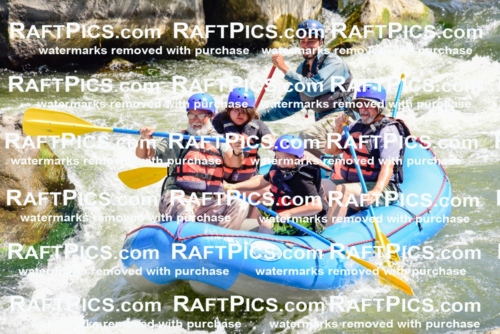 002423_July-16_NEW-WAVE_RAFT-PICS_Racecourse-AM-_LA_-RUI__LES9083