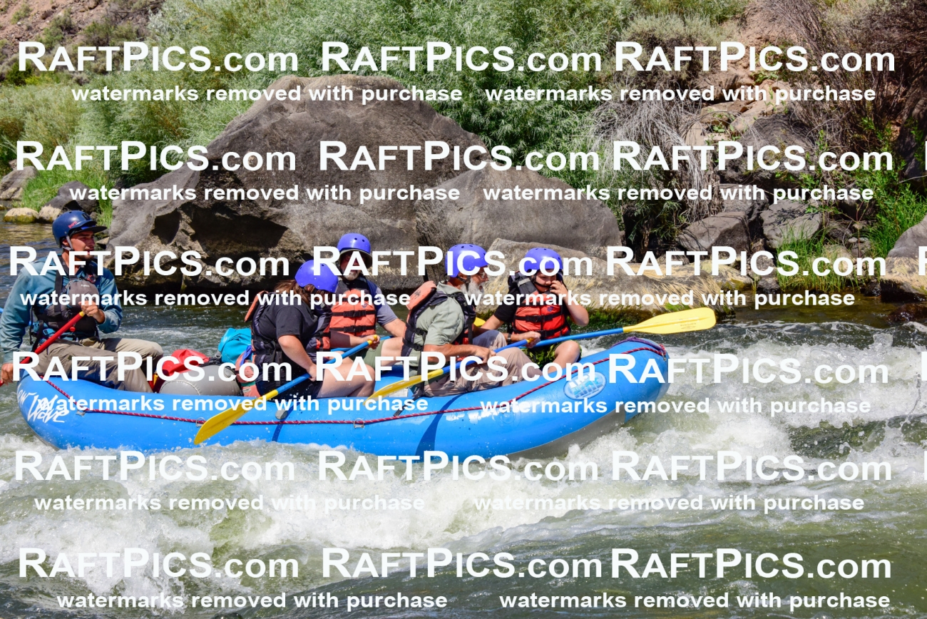 002435_July-16_NEW-WAVE_RAFT-PICS_Racecourse-AM-_LA_-RUI__LES9095