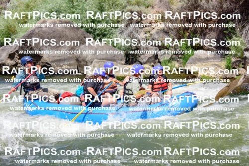 002436_July-16_NEW-WAVE_RAFT-PICS_Racecourse-AM-_LA_-RUI__LES9096