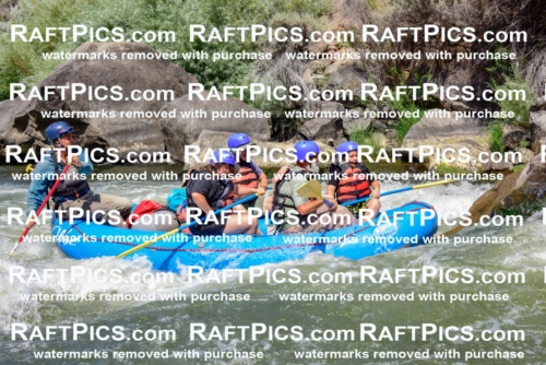 002437_July-16_NEW-WAVE_RAFT-PICS_Racecourse-AM-_LA_-RUI__LES9097