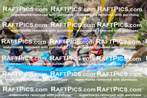 002438_July-16_NEW-WAVE_RAFT-PICS_Racecourse-AM-_LA_-RUI__LES9098