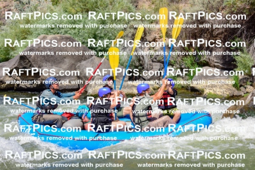 002439_July-16_NEW-WAVE_RAFT-PICS_Racecourse-AM-_LA_-RUI__LES9099