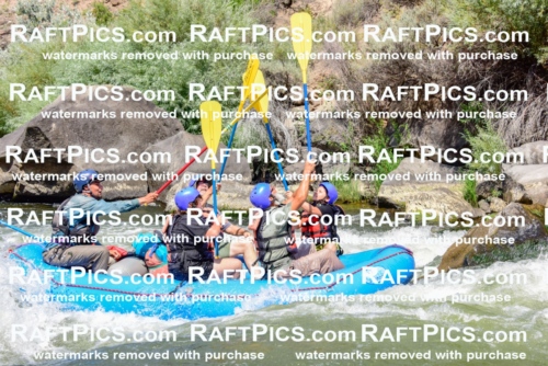 002440_July-16_NEW-WAVE_RAFT-PICS_Racecourse-AM-_LA_-RUI__LES9100