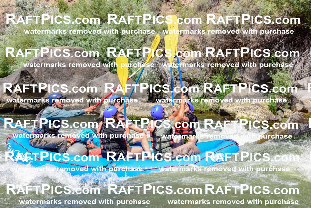 002441_July-16_NEW-WAVE_RAFT-PICS_Racecourse-AM-_LA_-RUI__LES9101