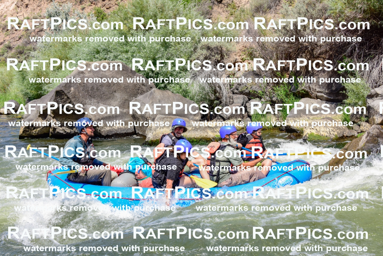 002442_July-16_NEW-WAVE_RAFT-PICS_Racecourse-AM-_LA_-RUI__LES9102