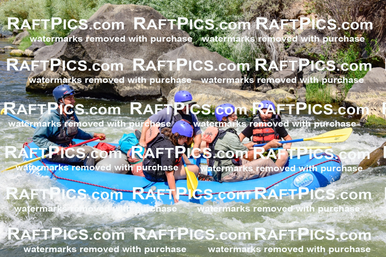 002444_July-16_NEW-WAVE_RAFT-PICS_Racecourse-AM-_LA_-RUI__LES9104