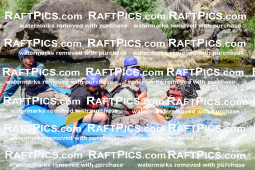 002446_July-16_NEW-WAVE_RAFT-PICS_Racecourse-AM-_LA_-RUI__LES9106