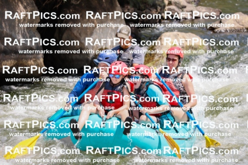 002684_July-16_LOS-RIOS_RAFT-PICS_Racecourse-AM-_TC_-Michael_MG_4679