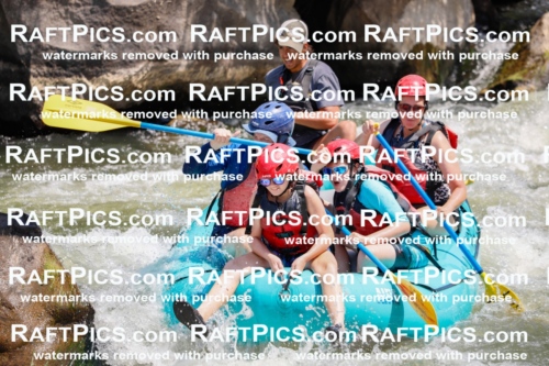 002690_July-16_LOS-RIOS_RAFT-PICS_Racecourse-AM-_TC_-Michael_MG_4685