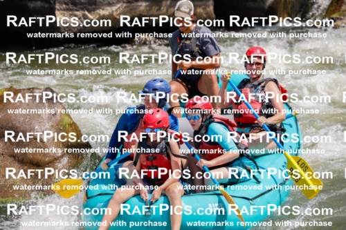 002695_July-16_LOS-RIOS_RAFT-PICS_Racecourse-AM-_TC_-Michael_MG_4690