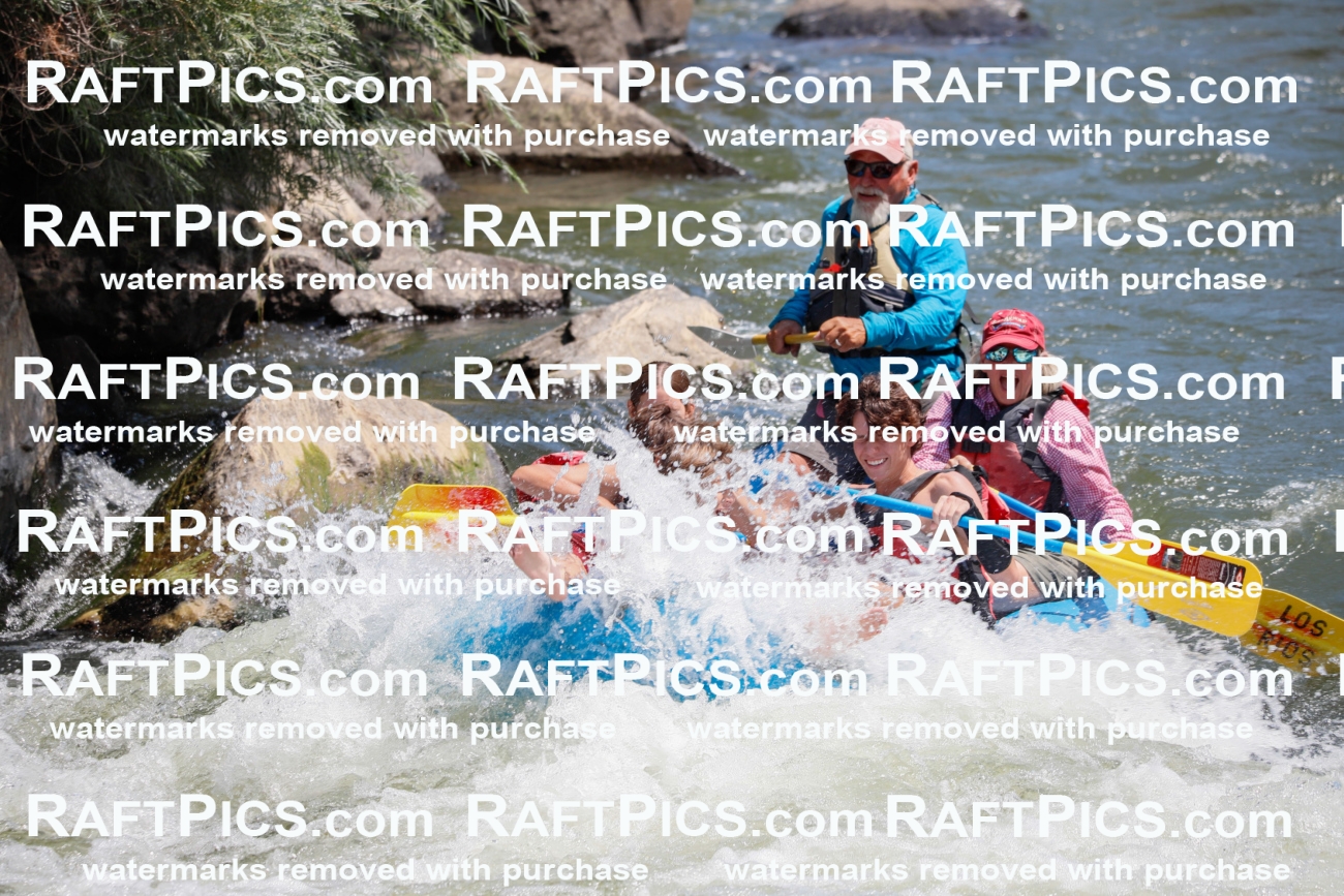 002623_July-16_LOS-RIOS_RAFT-PICS_Racecourse-AM-_TC_-JOhn_MG_4582