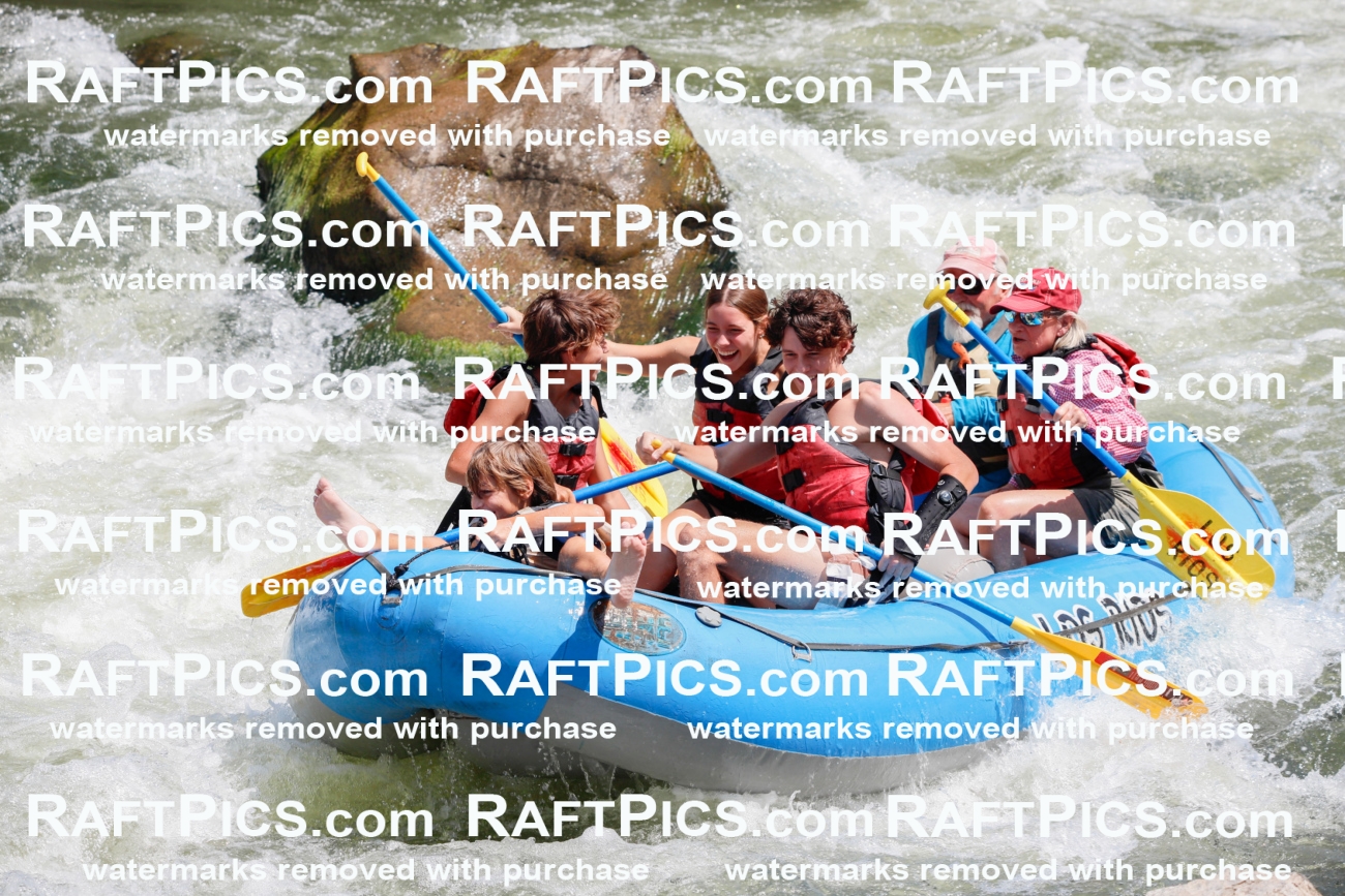 002662_July-16_LOS-RIOS_RAFT-PICS_Racecourse-AM-_TC_-JOhn_MG_4621