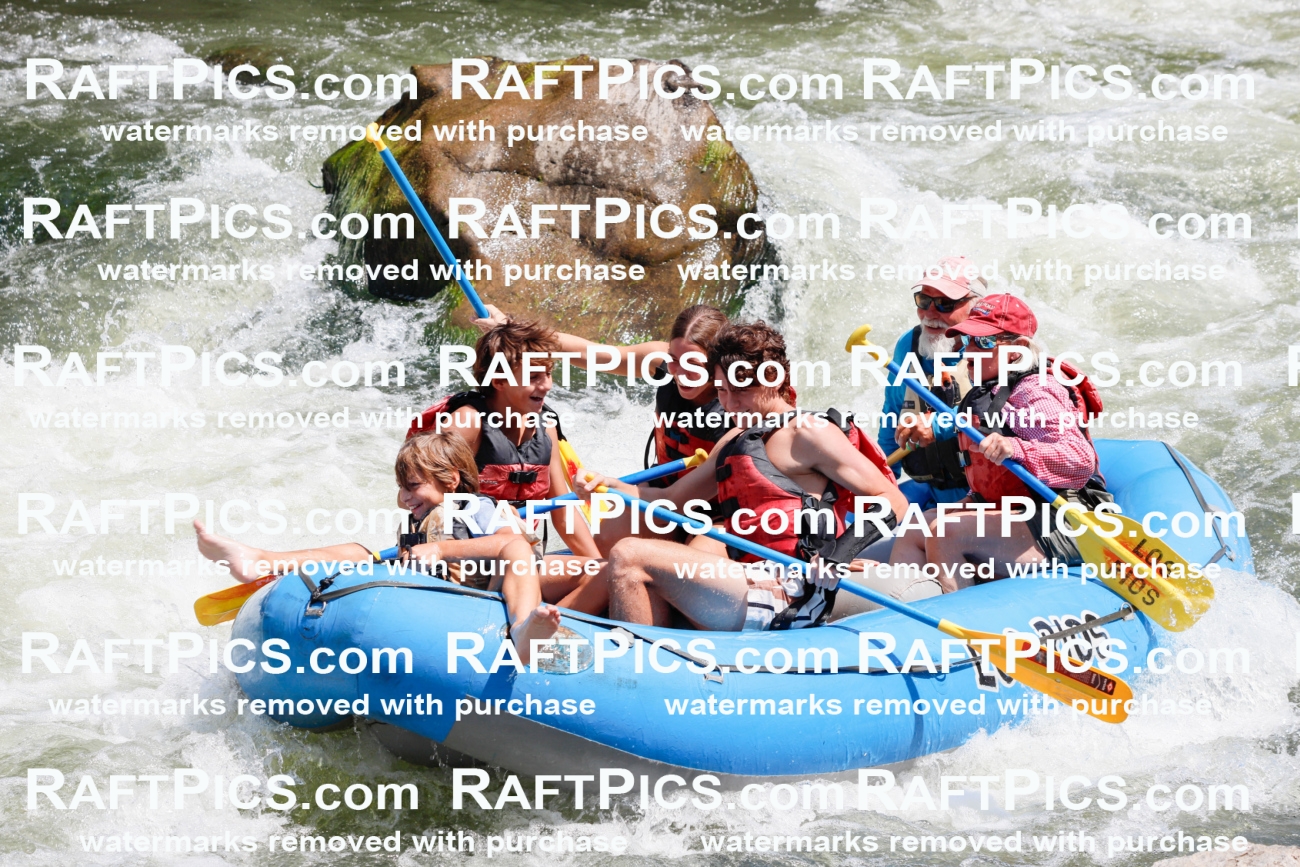 002663_July-16_LOS-RIOS_RAFT-PICS_Racecourse-AM-_TC_-JOhn_MG_4622