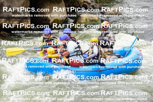 002993_July-16_New-Wave_RAFT-PICS_Racecourse-PM-_LA-Ben-_LES9475