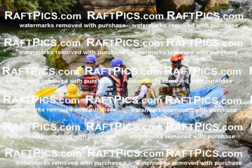 003000_July-16_New-Wave_RAFT-PICS_Racecourse-PM-_LA-Ben-_LES9482