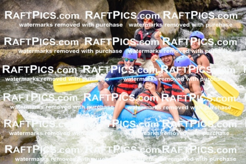 003027_July-16_New-Wave_RAFT-PICS_Racecourse-PM-_LA-Elias-_LES9164