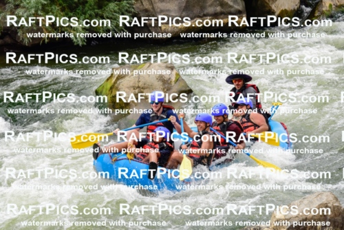 003035_July-16_New-Wave_RAFT-PICS_Racecourse-PM-_LA-Elias-_LES9172