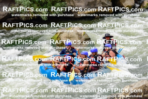 003036_July-16_New-Wave_RAFT-PICS_Racecourse-PM-_LA-Elias-_LES9173