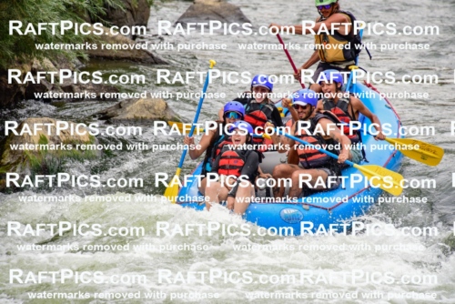 003049_July-16_New-Wave_RAFT-PICS_Racecourse-PM-_LA-Orlando-_LES9227