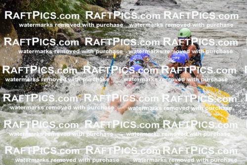 003052_July-16_New-Wave_RAFT-PICS_Racecourse-PM-_LA-Orlando-_LES9230