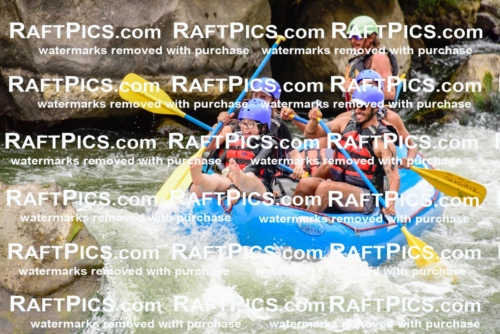 003063_July-16_New-Wave_RAFT-PICS_Racecourse-PM-_LA-Orlando-_LES9241