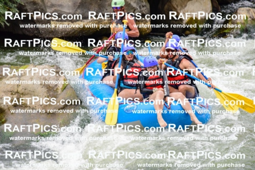 003068_July-16_New-Wave_RAFT-PICS_Racecourse-PM-_LA-Orlando-_LES9246