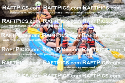 003071_July-16_New-Wave_RAFT-PICS_Racecourse-PM-_LA-Orlando-_LES9249