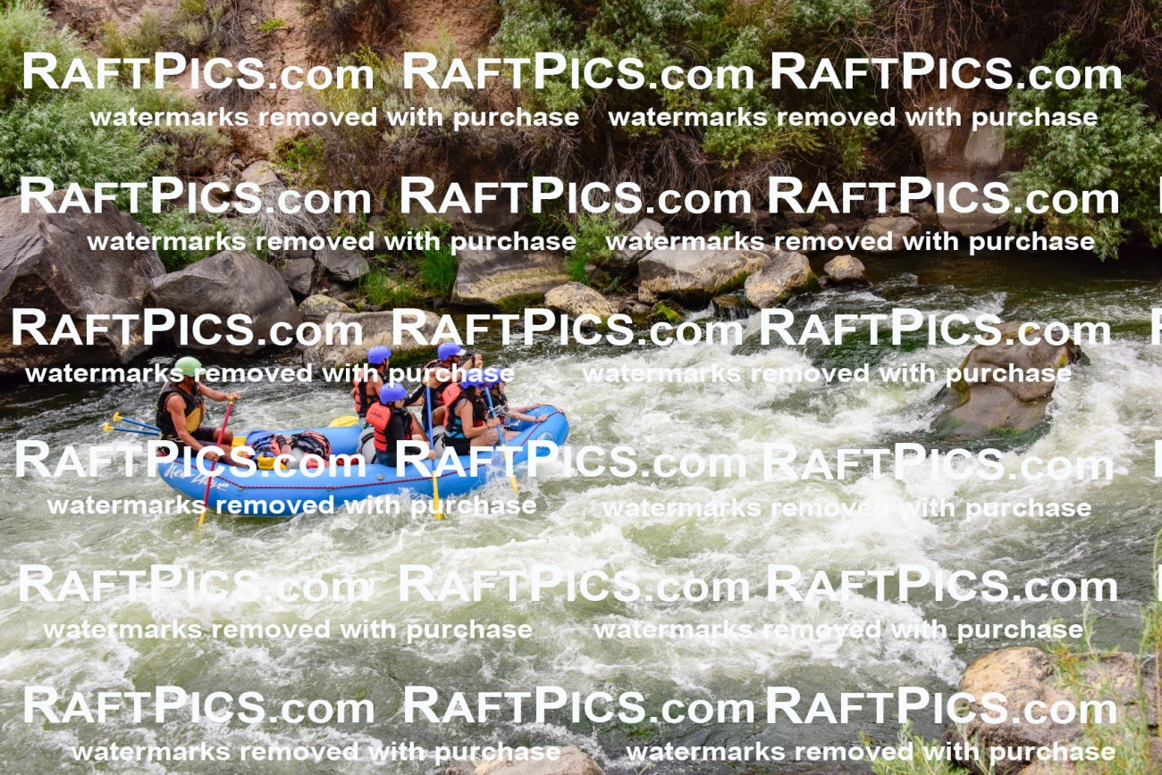 003081_July-16_New-Wave_RAFT-PICS_Racecourse-PM-_LA-Orlando-_LES9492