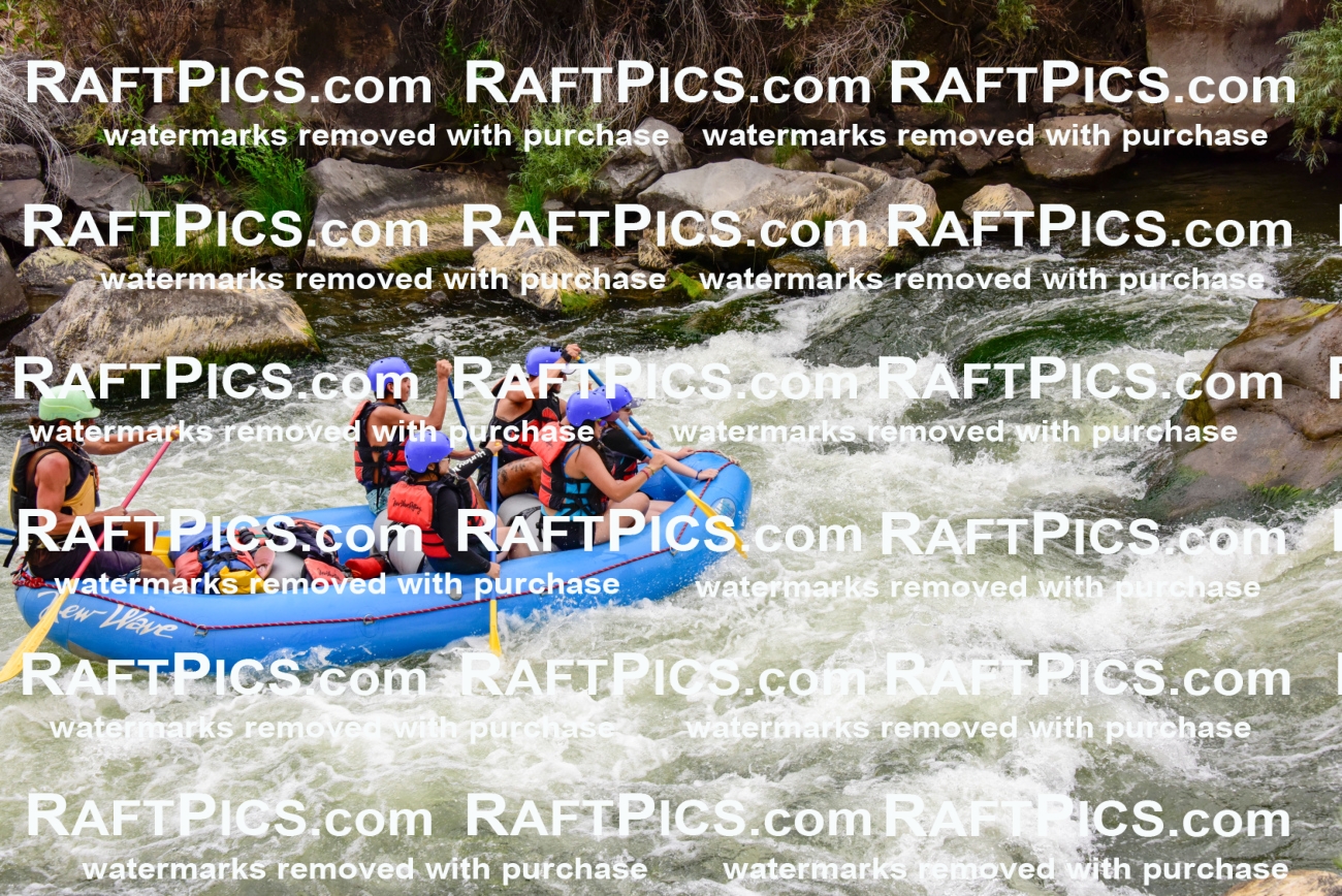 003082_July-16_New-Wave_RAFT-PICS_Racecourse-PM-_LA-Orlando-_LES9493