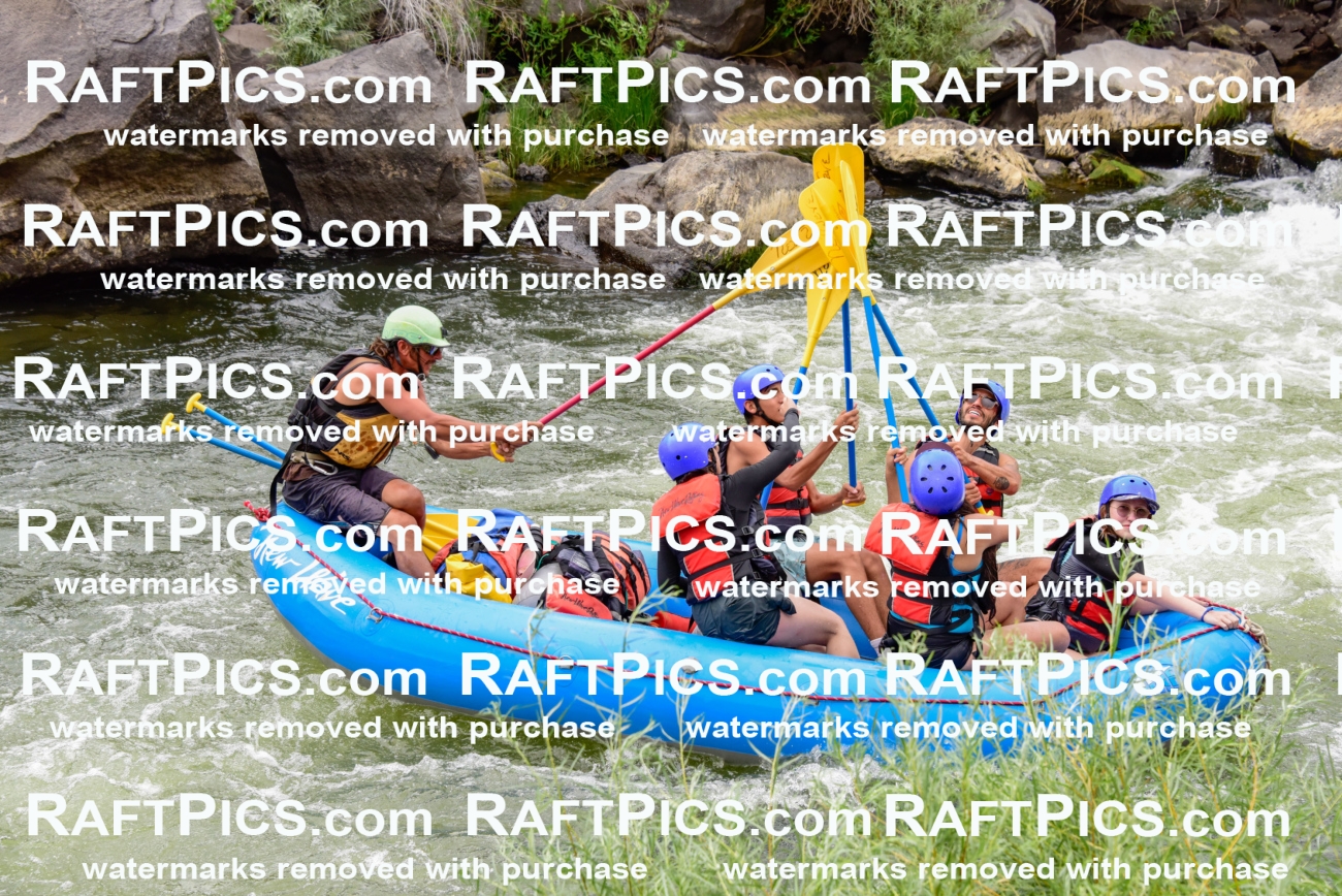 003083_July-16_New-Wave_RAFT-PICS_Racecourse-PM-_LA-Orlando-_LES9494