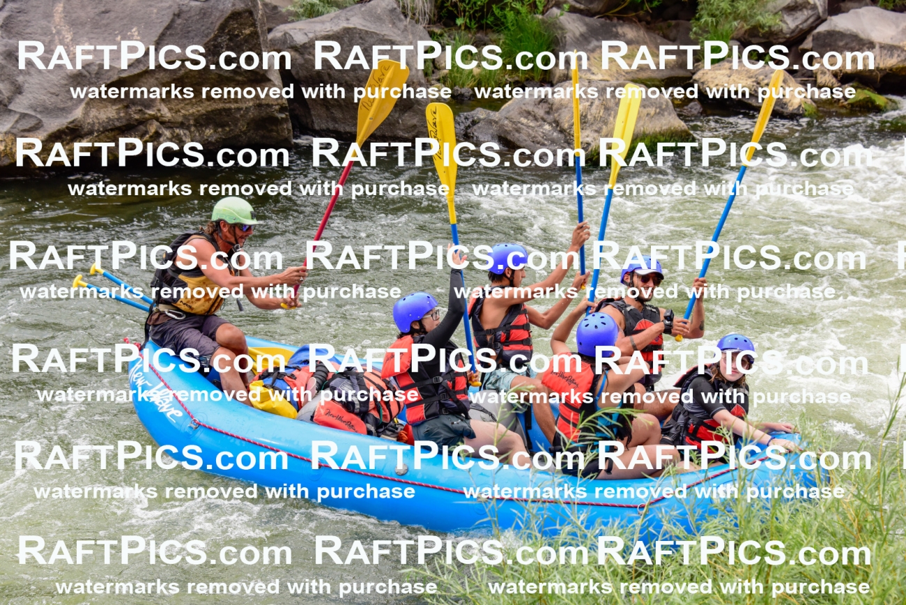 003084_July-16_New-Wave_RAFT-PICS_Racecourse-PM-_LA-Orlando-_LES9495