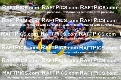 003110_July-16_New-Wave_RAFT-PICS_Racecourse-PM-_LA-Rui-_LES9531