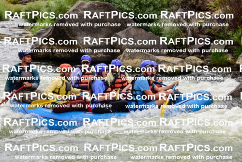 003111_July-16_New-Wave_RAFT-PICS_Racecourse-PM-_LA-Rui-_LES9532