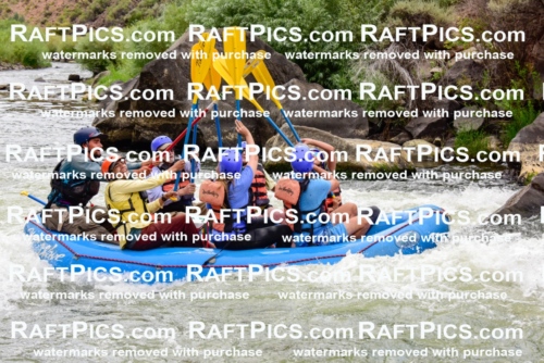 003114_July-16_New-Wave_RAFT-PICS_Racecourse-PM-_LA-Rui-_LES9535