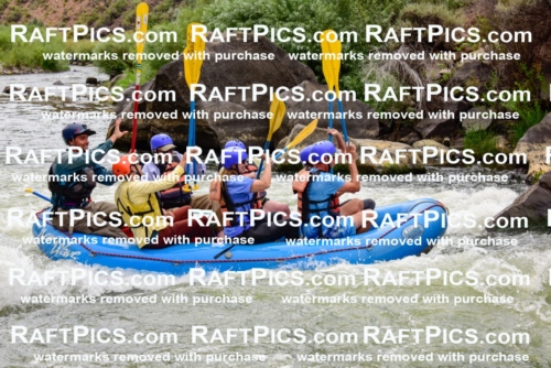 003115_July-16_New-Wave_RAFT-PICS_Racecourse-PM-_LA-Rui-_LES9536