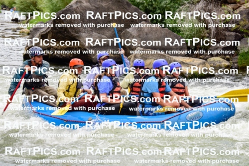 003116_July-16_New-Wave_RAFT-PICS_Racecourse-PM-_LA-Rui-_LES9537